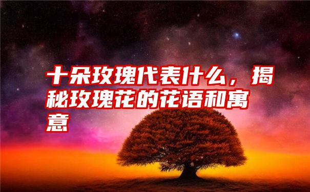 十朵玫瑰代表什么，揭秘玫瑰花的花语和寓意