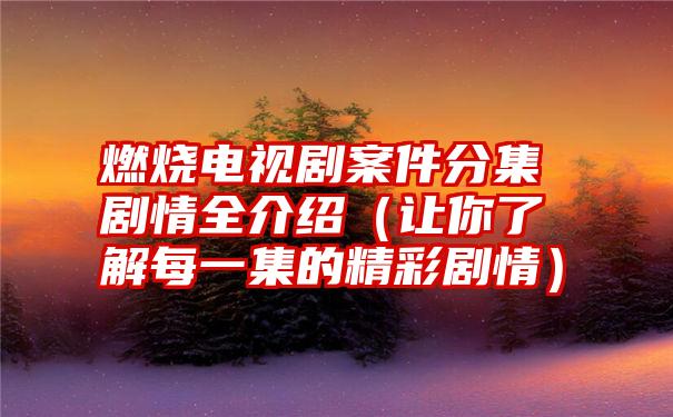 燃烧电视剧案件分集剧情全介绍（让你了解每一集的精彩剧情）