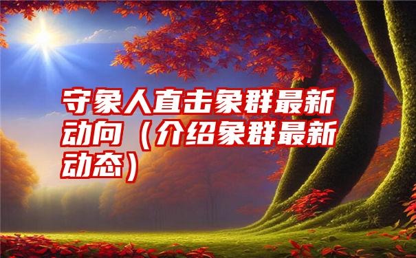 守象人直击象群最新动向（介绍象群最新动态）