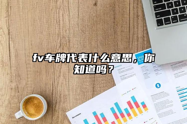 fv车牌代表什么意思，你知道吗？