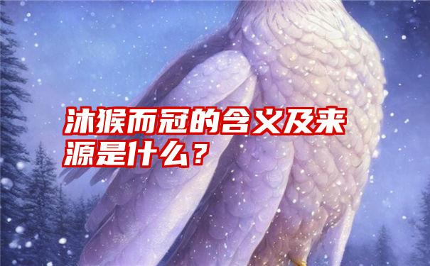 沐猴而冠的含义及来源是什么？