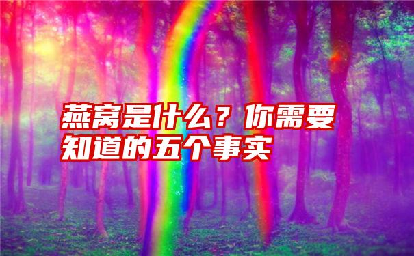 燕窝是什么？你需要知道的五个事实