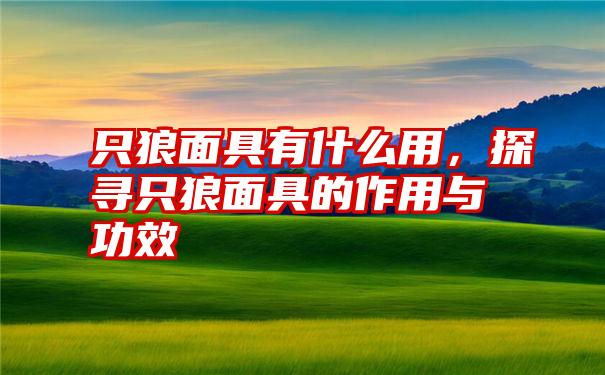 只狼面具有什么用，探寻只狼面具的作用与功效