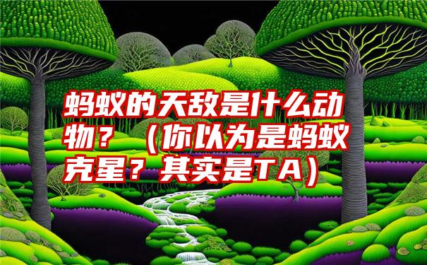 蚂蚁的天敌是什么动物？（你以为是蚂蚁克星？其实是TA）