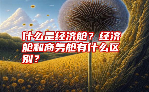 什么是经济舱？经济舱和商务舱有什么区别？