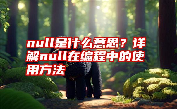 null是什么意思？详解null在编程中的使用方法