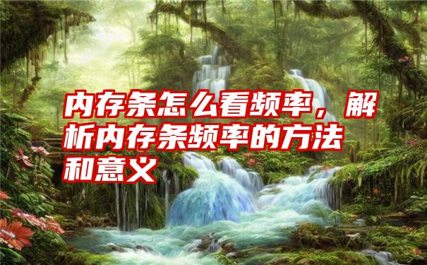 内存条怎么看频率，解析内存条频率的方法和意义