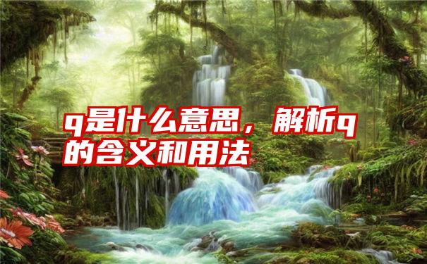 q是什么意思，解析q的含义和用法