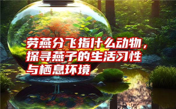 劳燕分飞指什么动物，探寻燕子的生活习性与栖息环境