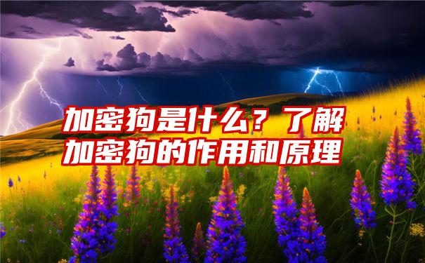 加密狗是什么？了解加密狗的作用和原理