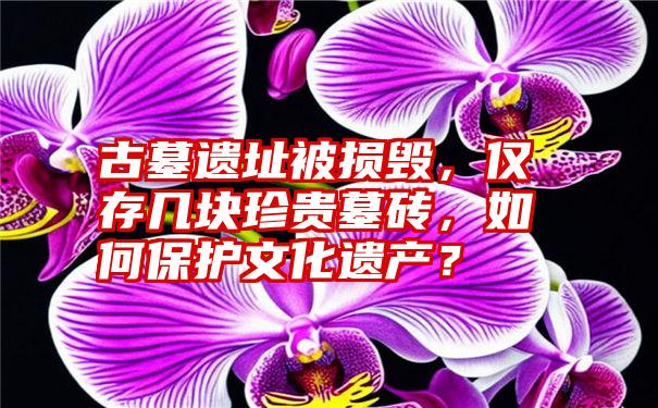 古墓遗址被损毁，仅存几块珍贵墓砖，如何保护文化遗产？