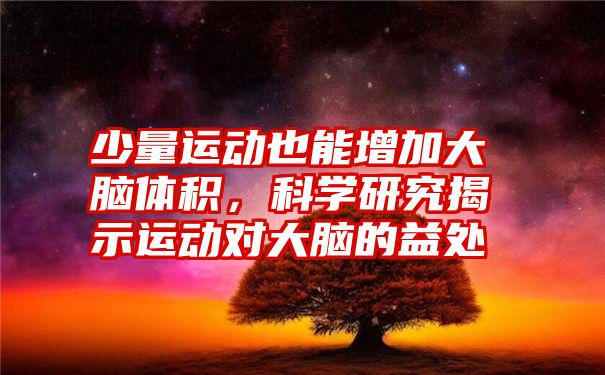 少量运动也能增加大脑体积，科学研究揭示运动对大脑的益处