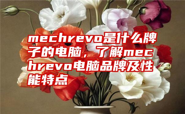 mechrevo是什么牌子的电脑，了解mechrevo电脑品牌及性能特点