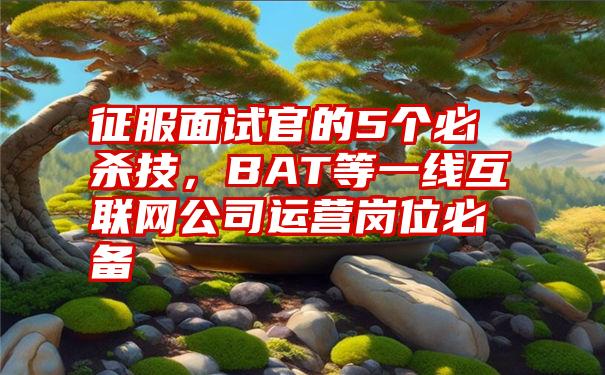 征服面试官的5个必杀技，BAT等一线互联网公司运营岗位必备