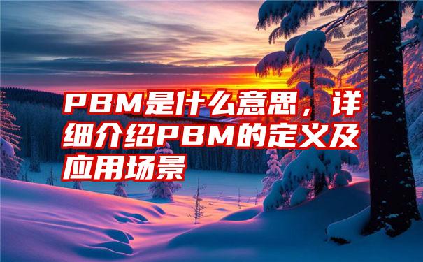 PBM是什么意思，详细介绍PBM的定义及应用场景