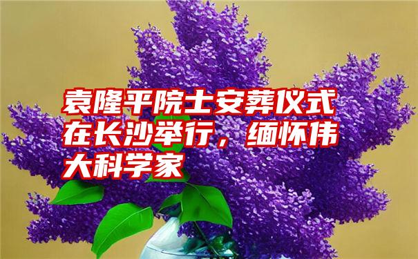 袁隆平院士安葬仪式在长沙举行，缅怀伟大科学家