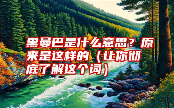 黑曼巴是什么意思？原来是这样的（让你彻底了解这个词）