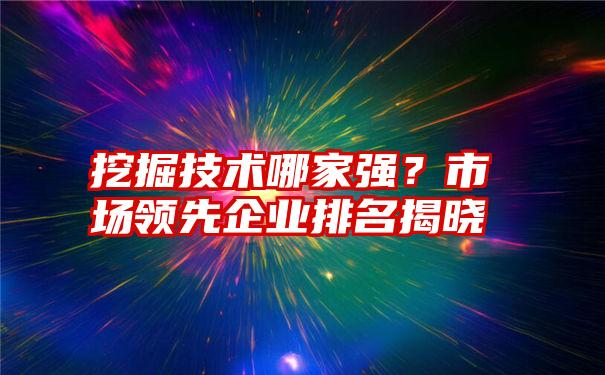 挖掘技术哪家强？市场领先企业排名揭晓