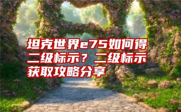 坦克世界e75如何得二级标示？二级标示获取攻略分享