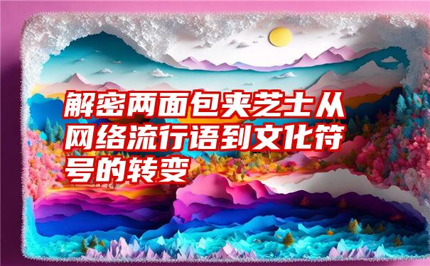 解密两面包夹芝士从网络流行语到文化符号的转变