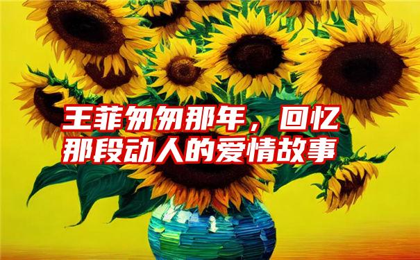 王菲匆匆那年，回忆那段动人的爱情故事