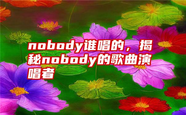 nobody谁唱的，揭秘nobody的歌曲演唱者