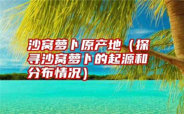 沙窝萝卜原产地（探寻沙窝萝卜的起源和分布情况）