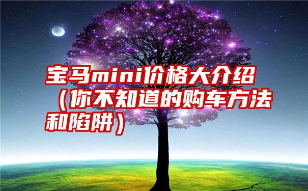 宝马mini价格大介绍（你不知道的购车方法和陷阱）