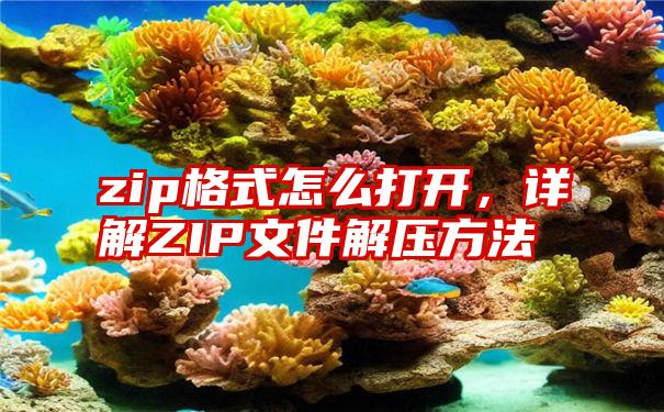 zip格式怎么打开，详解ZIP文件解压方法