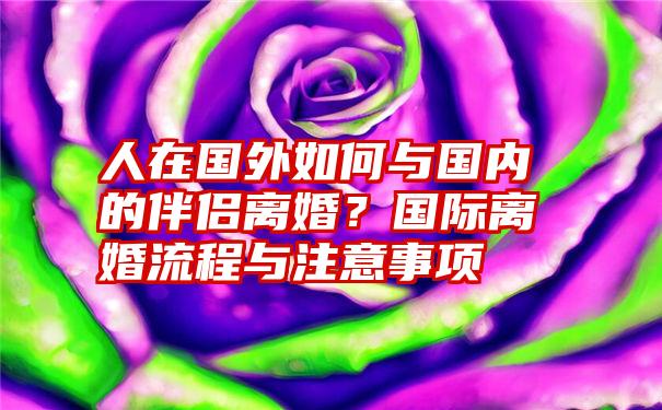 人在国外如何与国内的伴侣离婚？国际离婚流程与注意事项