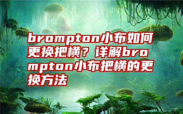 brompton小布如何更换把横？详解brompton小布把横的更换方法