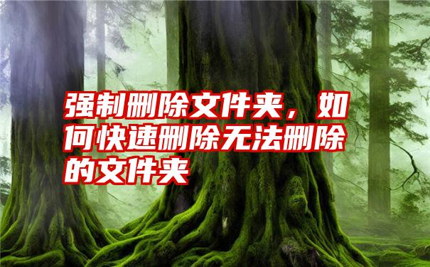 强制删除文件夹，如何快速删除无法删除的文件夹