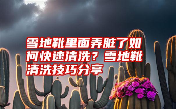 雪地靴里面弄脏了如何快速清洗？雪地靴清洗技巧分享