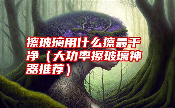 擦玻璃用什么擦最干净（大功率擦玻璃神器推荐）