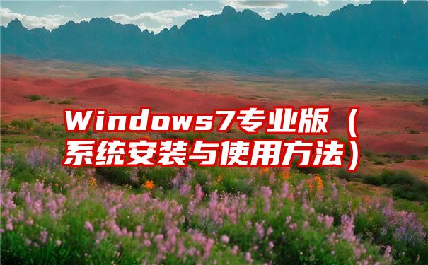 Windows7专业版（系统安装与使用方法）