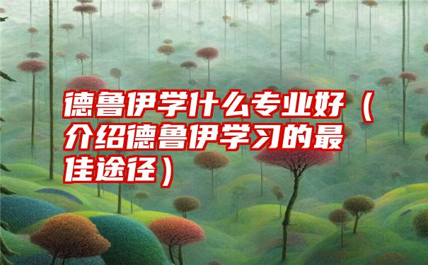 德鲁伊学什么专业好（介绍德鲁伊学习的最佳途径）