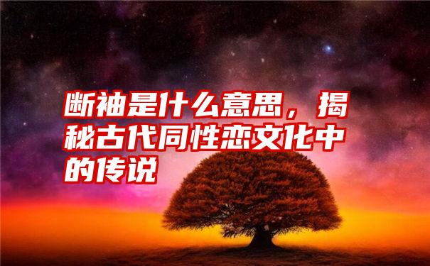 断袖是什么意思，揭秘古代同性恋文化中的传说