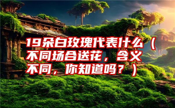 19朵白玫瑰代表什么（不同场合送花，含义不同，你知道吗？）