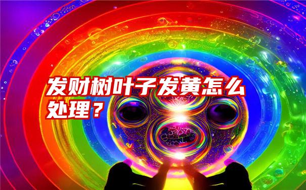 发财树叶子发黄怎么处理？