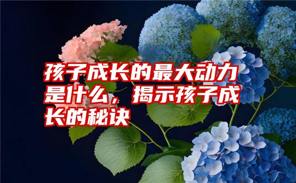 孩子成长的最大动力是什么，揭示孩子成长的秘诀