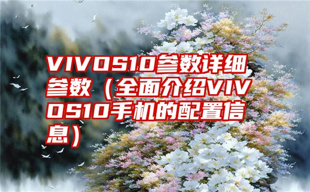 VIVOS10参数详细参数（全面介绍VIVOS10手机的配置信息）