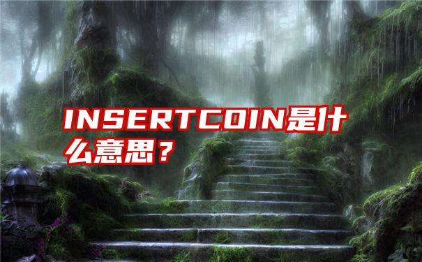 INSERTCOIN是什么意思？