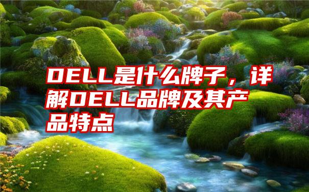 DELL是什么牌子，详解DELL品牌及其产品特点