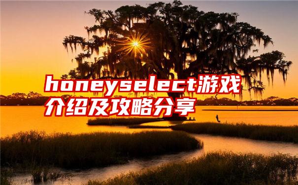 honeyselect游戏介绍及攻略分享