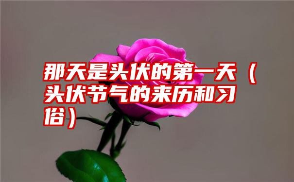 那天是头伏的第一天（头伏节气的来历和习俗）