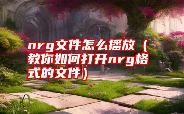 nrg文件怎么播放（教你如何打开nrg格式的文件）