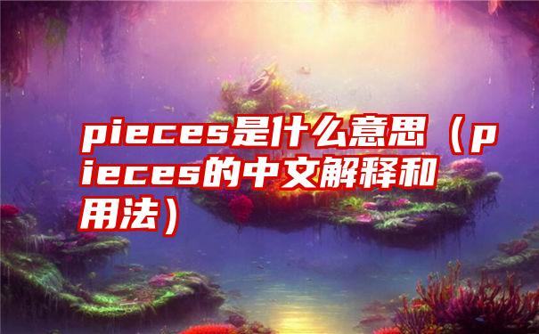 pieces是什么意思（pieces的中文解释和用法）