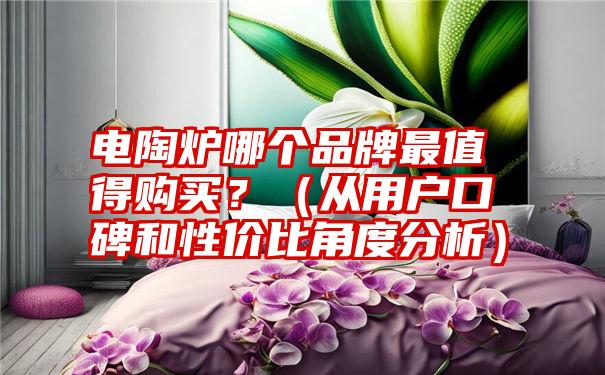 电陶炉哪个品牌最值得购买？（从用户口碑和性价比角度分析）