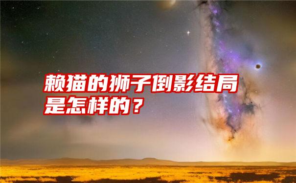 赖猫的狮子倒影结局是怎样的？