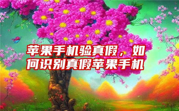 苹果手机验真假，如何识别真假苹果手机